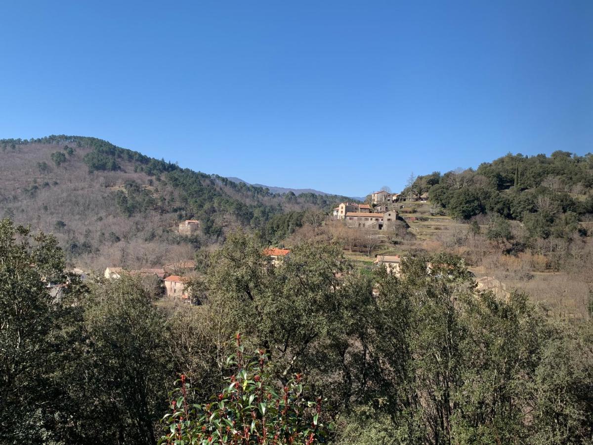 Villa Des Taillades Le Collet-de-Dèze Extérieur photo